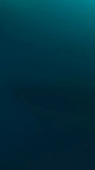 Disney+ Meta ad: visual only, live 110 days