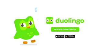 Duolingo Meta ad: Duolingo se siente como un juego y te ayuda a permanecer motivado, live 146 days