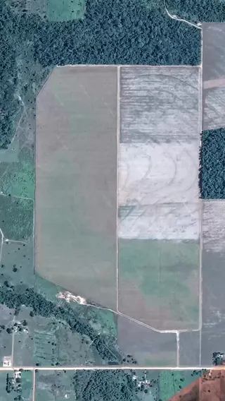 FieldCalc Meta ad: Tired of manual measurements? Get accurate field area calculations wit, live 130 days