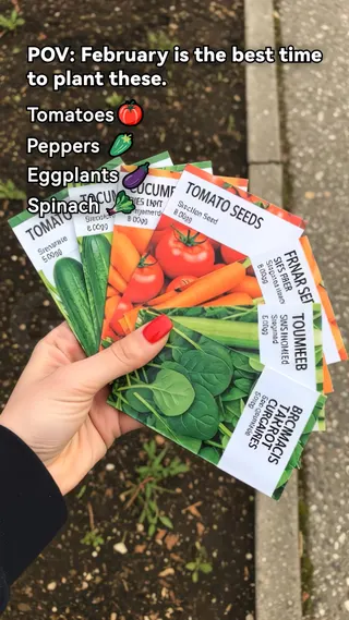 GrowIt Meta ad: Winter is the best time to plant these, live 230 days