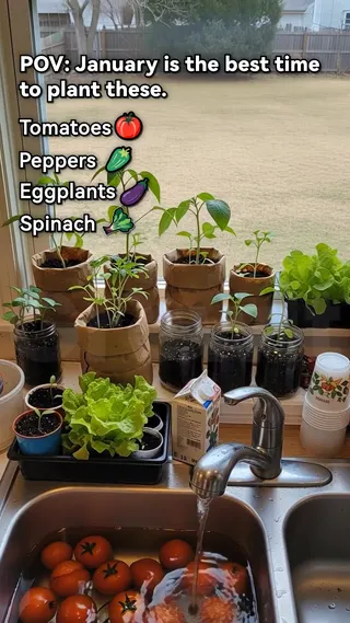 GrowIt Meta ad: Winter is the best time to plant these, live 290 days