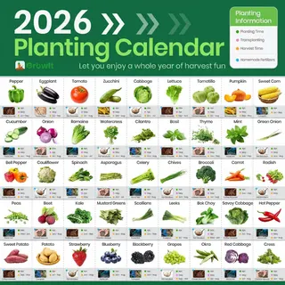 GrowIt Meta ad: Plant it wrong, it dies. Grow it right, it thrives!, live 261 days