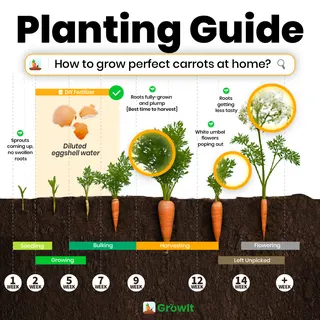 GrowIt Meta ad: Winter is the best time to plant these., live 259 days