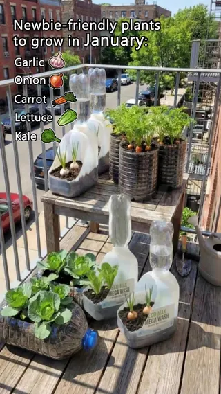 GrowIt Meta ad: Winter is the best time to plant these, live 257 days