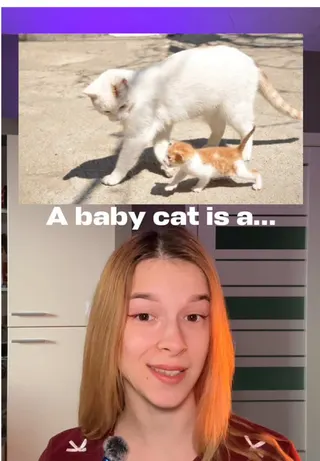 Lola Speak creator video by @lolaspeak_app on TikTok