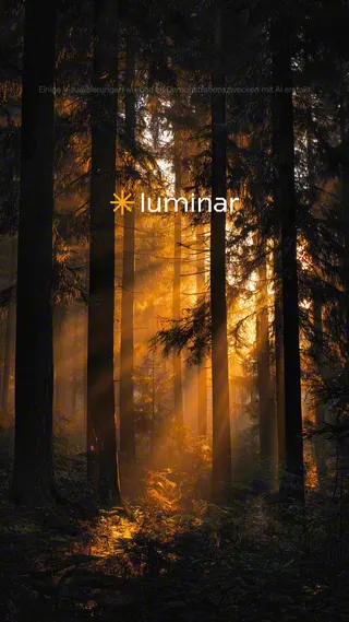 Luminar Meta ad: Bringe deine mobile Bildbearbeitung auf das nächste Level mit der voll, live 85 days
