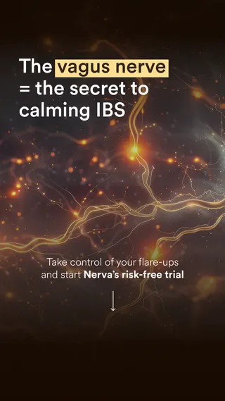 Nerva Meta ad: Your IBS may NOT be caused by the foods you eat, here’s why Most peopl, live 456 days