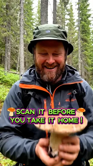 Picture Mushroom Meta ad: Ever wondered what kind of mushroom you're looking at? Snap a photo an, live 38 days