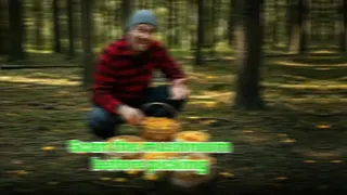 Picture Mushroom Meta ad: Ever wondered what kind of mushroom you're looking at? Snap a photo an, live 38 days