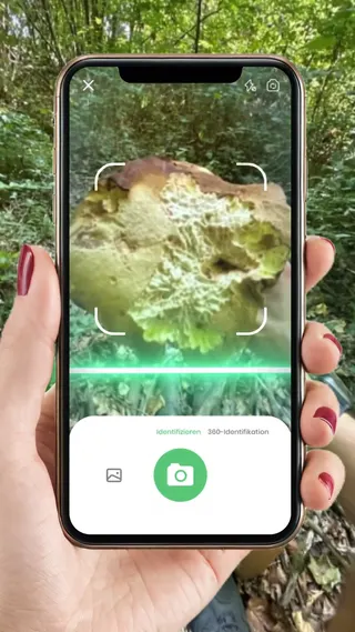 Picture Mushroom Meta ad: Erkennen Sie sofort jeden Pilz durch einen Schnappschuss., live 39 days