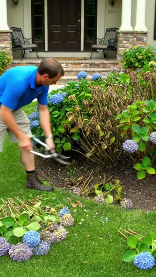 PictureThis Meta ad: Identify Plants, Diagnose Diseases, Care Tips, Simplify Gardening with, live 389 days