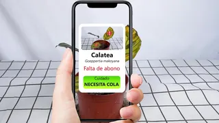 Plant Parent Meta ad: ¿Desea convertirse en un mejor cuidador de plantas para sus pequeños v, live 821 days