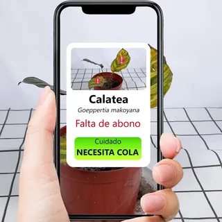 Plant Parent Meta ad: ¿Desea convertirse en un mejor cuidador de plantas para sus pequeños v, live 304 days