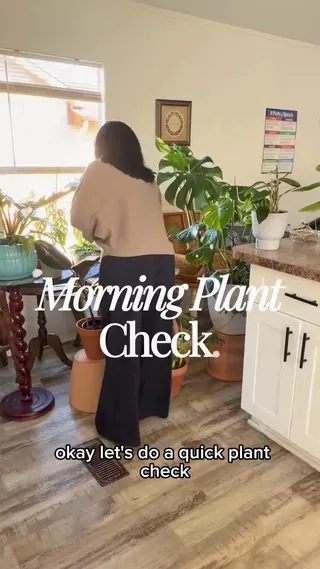 Planta Meta ad: Most people kill their plants by guessing. Get clear, personalized car, live 152 days