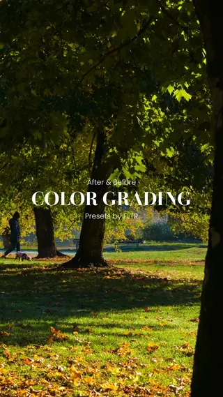 Presets for Lightroom Meta ad: 1500+ Lightroom Presets Free New Presets Daily, live 90 days