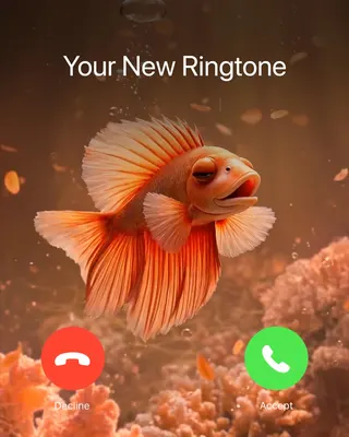 Ringtones for iphone Meta ad: Set new ringtone, charging animations, themes and wallpaper on your iP, live 59 days