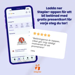 Stepler Meta ad: play.google.com/store/apps/details, live 277 days