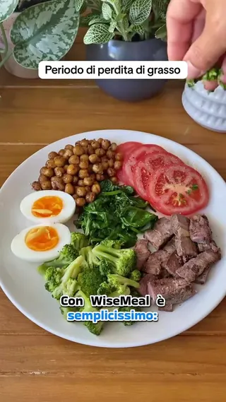 WiseMeal Meta ad: Stanco di dover indovinare le calorie? Lo scanner AI di Wisemeal anali, live 299 days