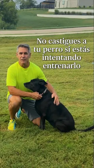 Woofz Meta ad: ¡Acaba con lo malo, empieza lo bueno! Prueba Woofz - La aplicación de, live 264 days