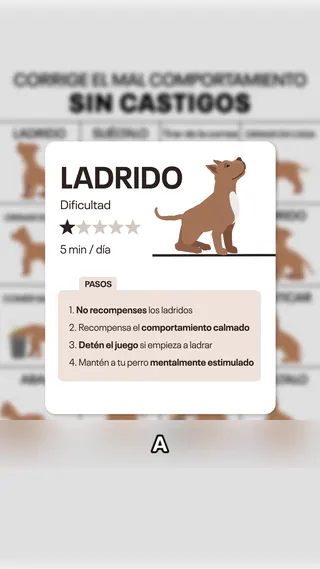 Woofz Meta ad: ¡Acaba con lo malo, empieza lo bueno! Prueba Woofz - La aplicación de, live 264 days