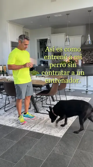 Woofz Meta ad: ¡Acaba con lo malo, empieza lo bueno! Prueba Woofz - La aplicación de, live 264 days
