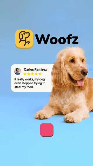 Woofz Meta ad: Get your dog's best friend! Woofz courses: video lessons, tricks & hea, live 205 days