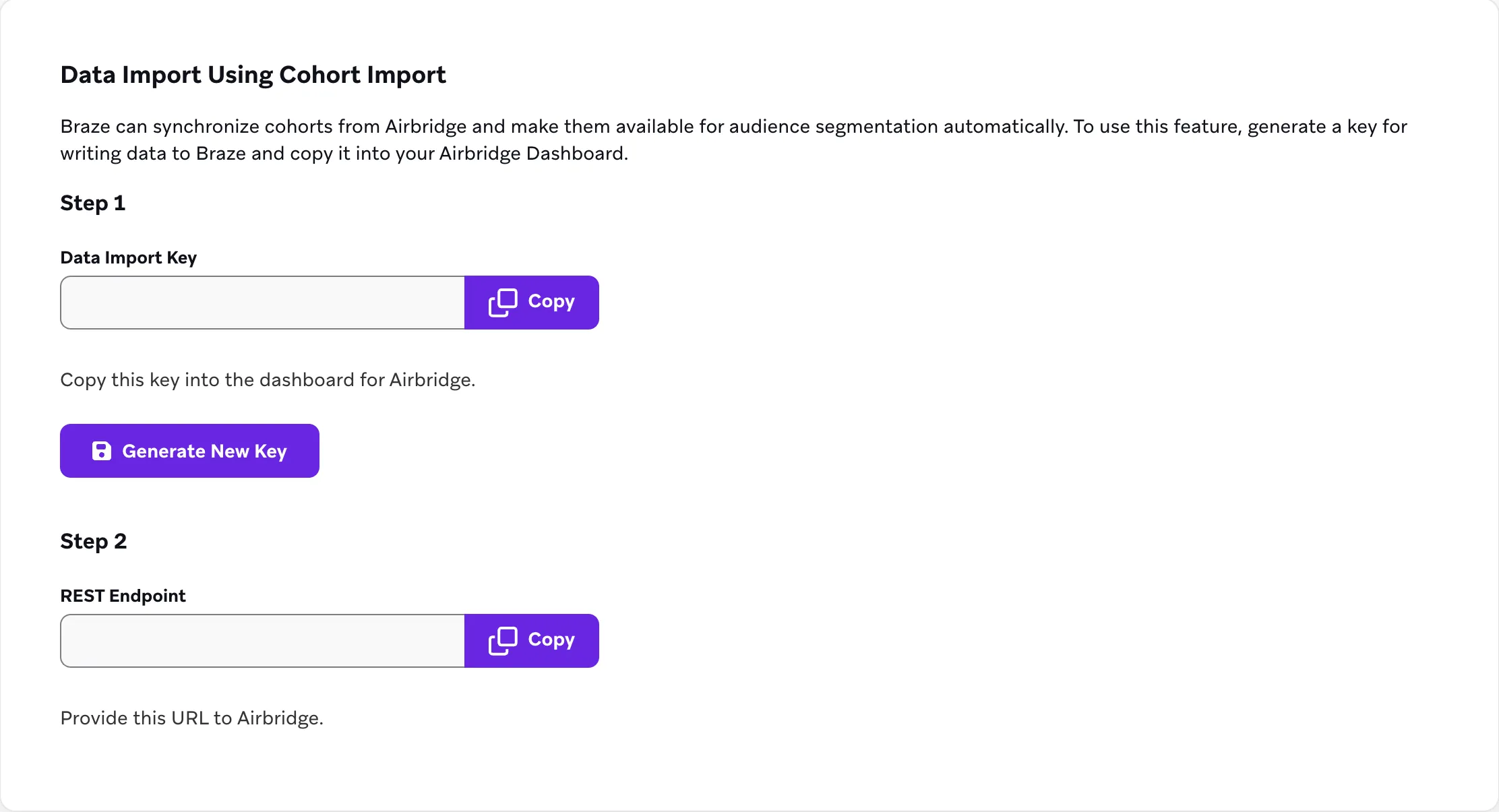 브레이즈의 Data Import Using Cohort Import에서 전용 키와 REST Endpoint를 확인하는 화면